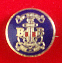 Ayr Battalion Badge